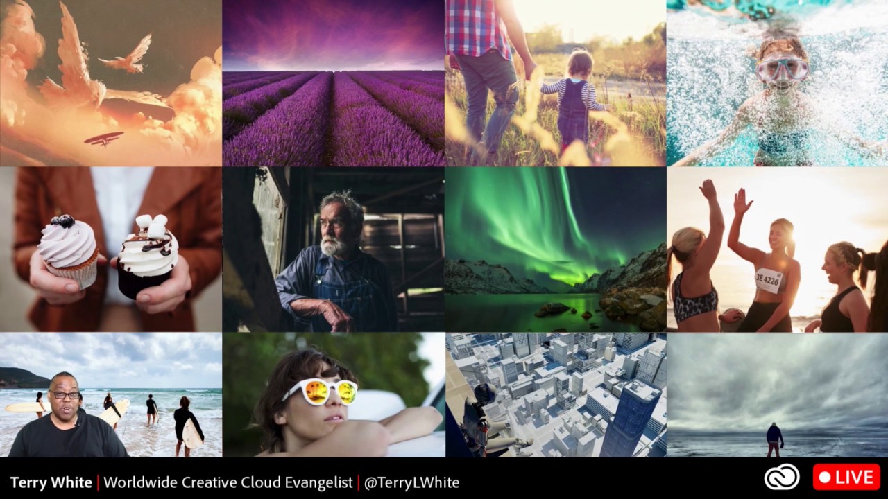Stock Photography Is Passive Income — Here's Why Your Photo Walk Images Are Already Worth Uploading