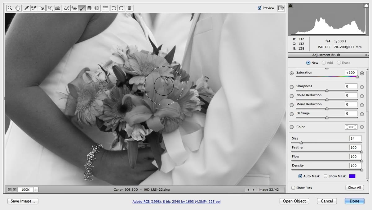 Auto Mask checkbox being enabled in the brush options
