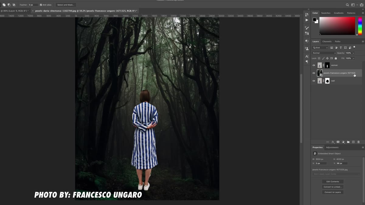 Forest photo layer dragged below the wall layer in the Layers panel