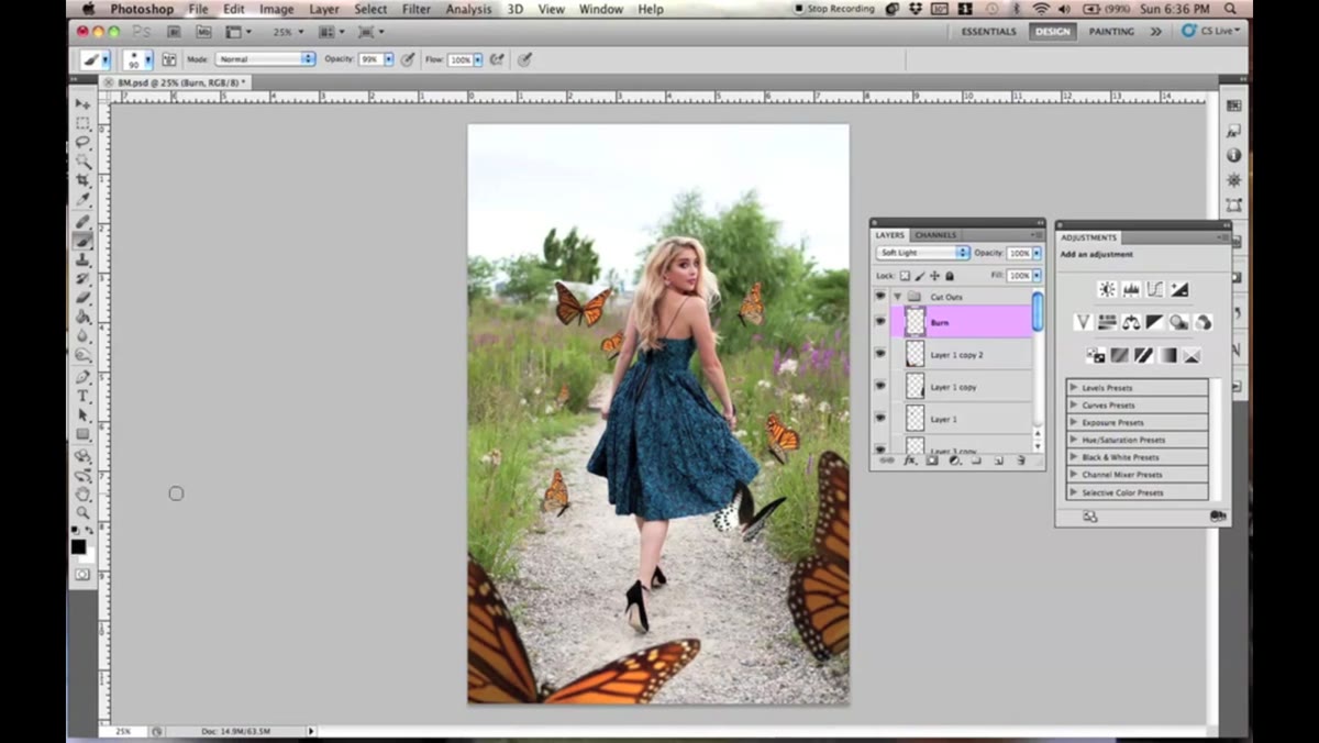 New layer set to Soft Light mode above butterfly layers in panel