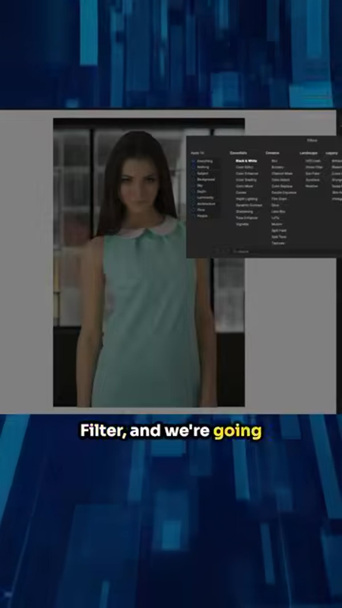 Opening the Effects tab and selecting Add Filter