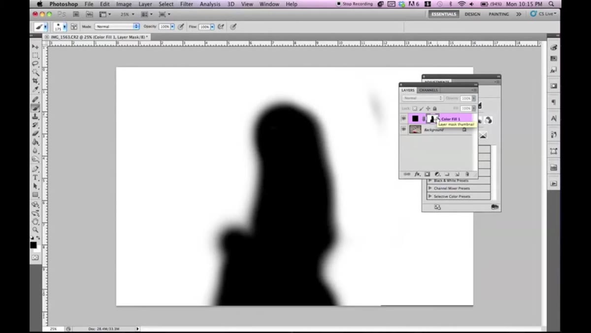 Alt-click on mask thumbnail revealing black and white mask view