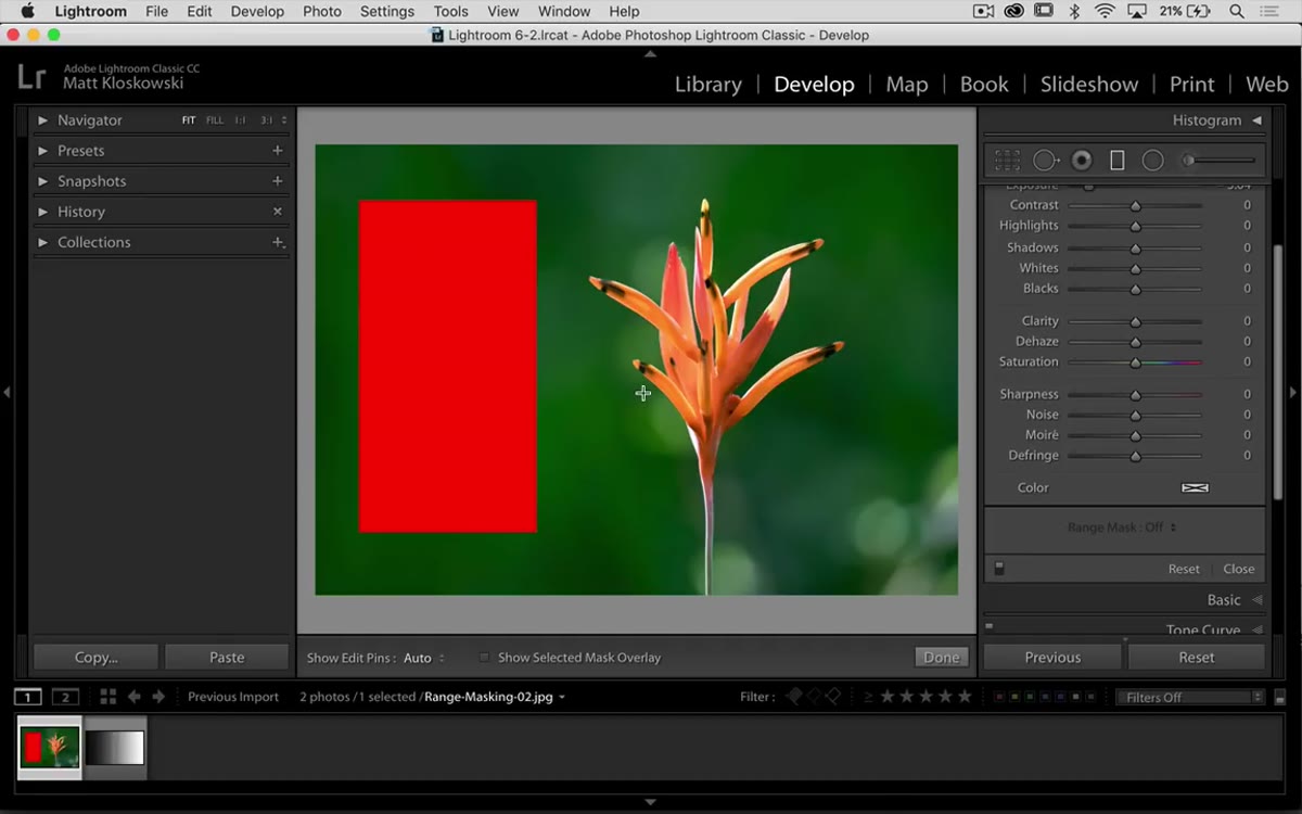 Color photo loaded with a dominant red area visible