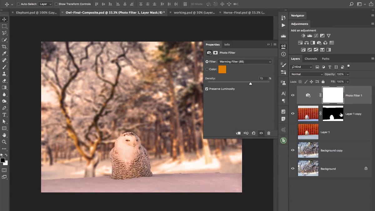 Layers panel showing subject isolated on its own layer