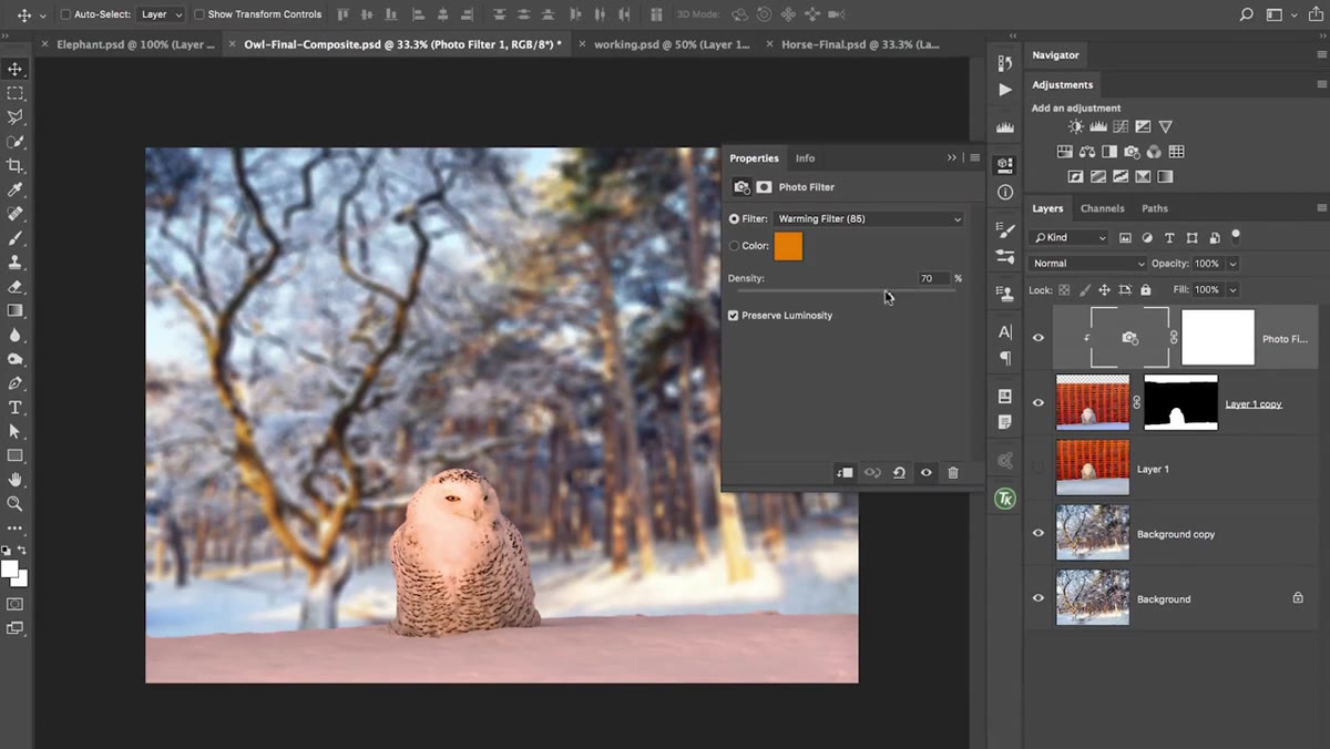 Photo Filter properties panel with density slider being adjusted