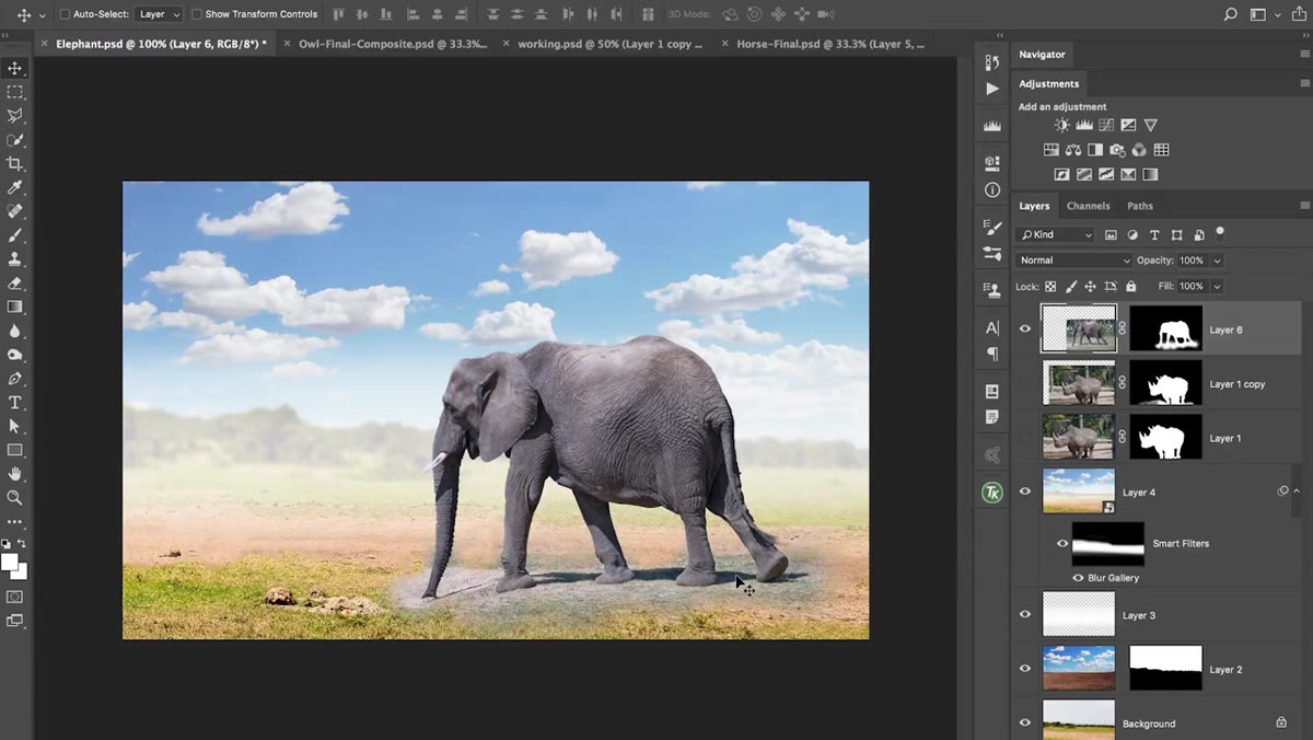 Elephant composite with warm background and cool-toned subject