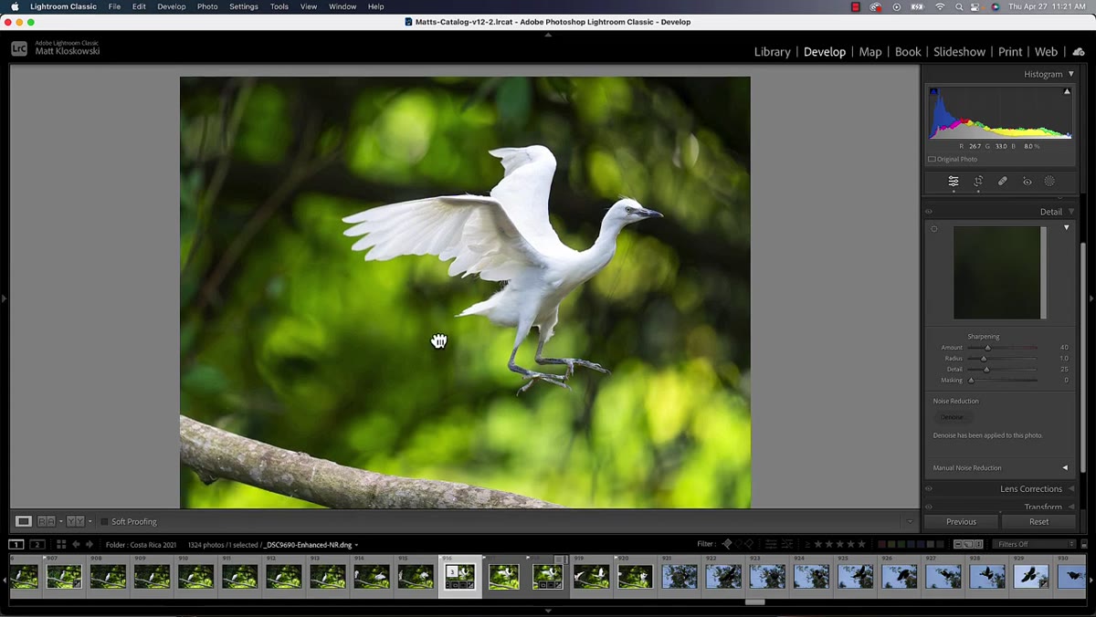Denoised DNG file grouped with original RAW in filmstrip