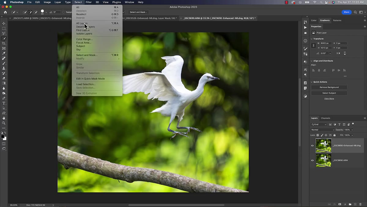 Select Subject tool active with cloud processing option chosen