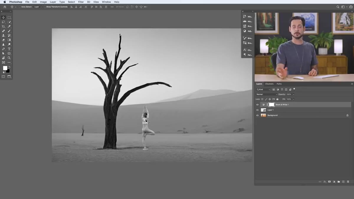 Levels/Curves referenced as correction tools for subject brightness
